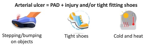 Arterial ulcer precipitating factors