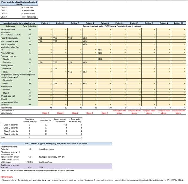 Staffing, Productivity and Acuity Tool (based on Larson-Lohr's tool)