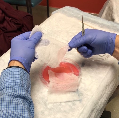 Cut CTP to size with scissors