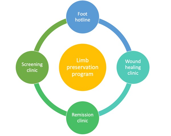 Four components of a limb preservation program