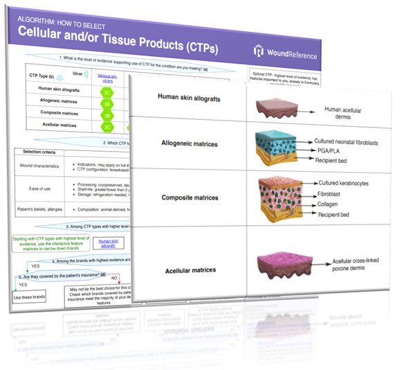 Cellular Tissue Product Algorithm