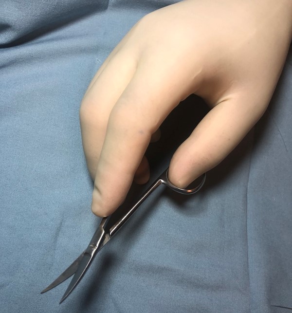 Holding curved iris scissors