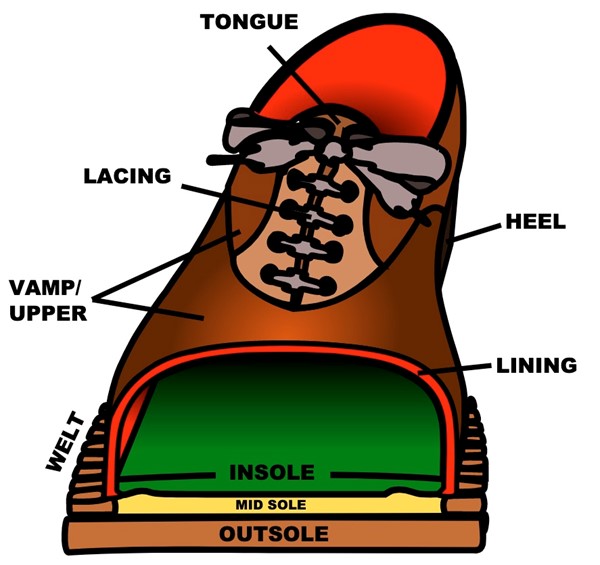Parts of a shoe 